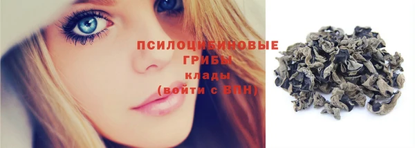 гашик Абаза