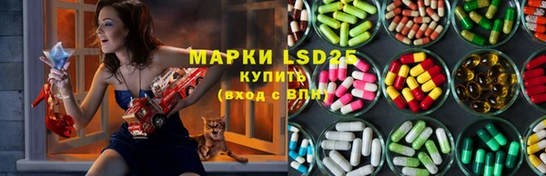 гашик Абаза